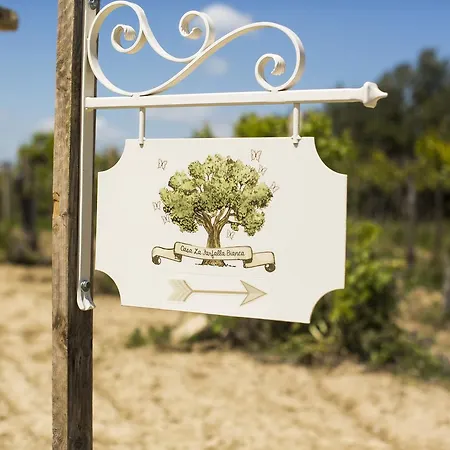 Alojamento de Acomodação e Pequeno-almoço Casa La Farfalla Bianca Canosa Sannita