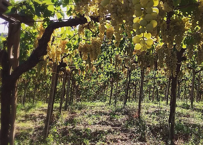 Bed & Breakfast Casa La Farfalla Bianca